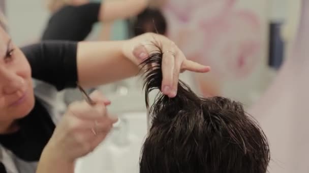 Cabeleireiro profissional mulher fazendo penteado no cabelo molhado ao cliente . — Vídeo de Stock