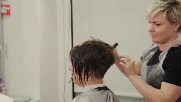 Professional hairdresser woman doing hairstyle on wet hair to client. — 비디오