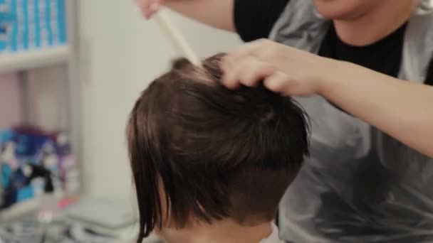 Professional hairdresser woman doing hairstyle on wet hair to client. — 비디오