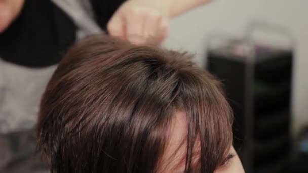 Professional hairdresser woman doing hairstyle on wet hair to client. — Stock Video