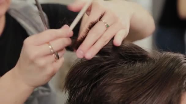Professional hairdresser woman doing hairstyle on wet hair to client. — Stock Video