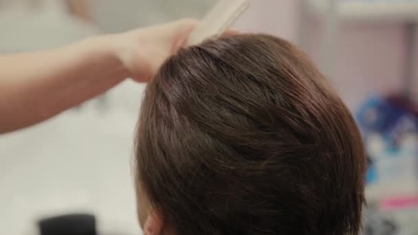 Coiffeur professionnel femme faisant coiffure sur cheveux mouillés au client . — Video