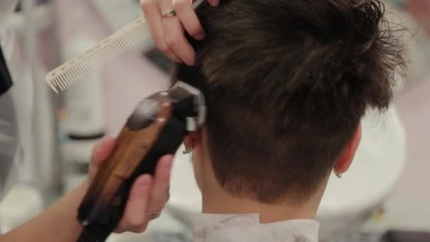 Peluquería profesional mujer cortes de pelo una chica con un peluquero . — Vídeo de stock