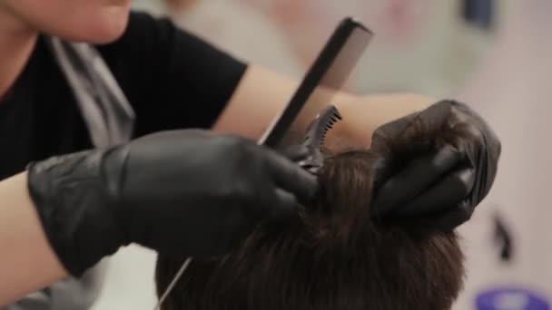 Professional hairdresser woman combing girl. — 비디오