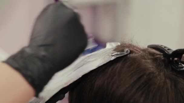 Professional hairdresser woman dyes girls hair with hair dye on foil. — 비디오