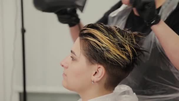 Профессиональный парикмахер . — стоковое видео