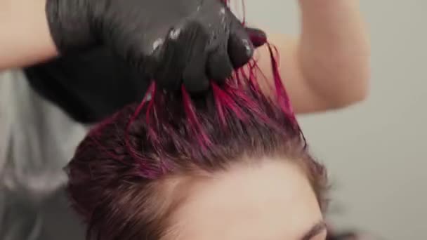 染色後にクライアントにヘアスタイリングを行うプロの美容師の女性. — ストック動画