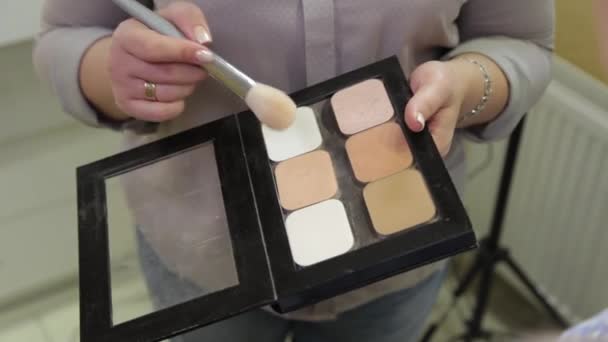 Professional makeup artist brushes paint from a color palette. — Stock Video