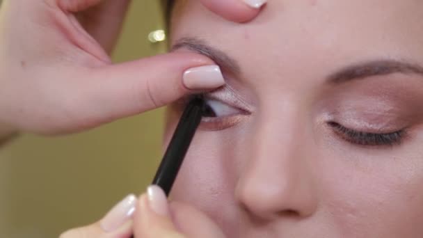 Artista de maquillaje profesional pinta pestañas a un cliente . — Vídeo de stock