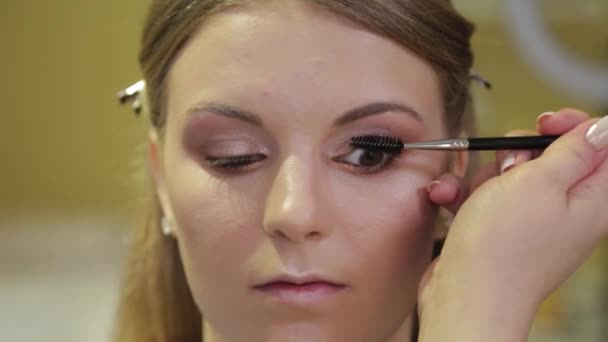 Professionele make-up kunstenaar schildert wimpers aan een klant. — Stockvideo