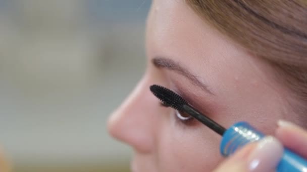 Professionele make-up kunstenaar schildert wimpers aan een klant. — Stockvideo