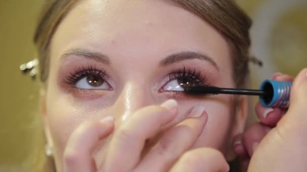 Professionele make-up kunstenaar schildert wimpers aan een klant. — Stockvideo
