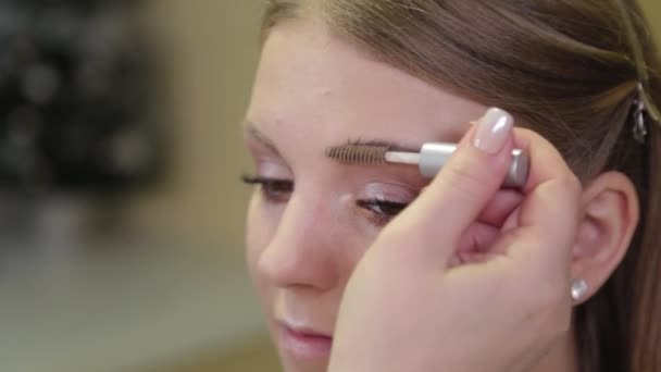 Artista de maquillaje profesional pinta las cejas al cliente con un cepillo especial . — Vídeos de Stock