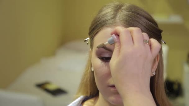 Artista de maquiagem profissional pinta sobrancelhas para o cliente com um pincel especial . — Vídeo de Stock