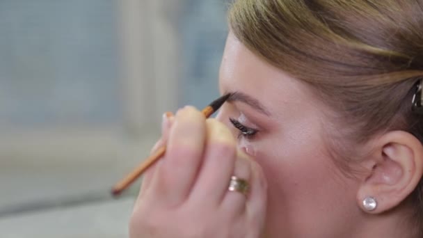 Artista de maquiagem profissional pinta sobrancelhas para o cliente com um pincel especial . — Vídeo de Stock
