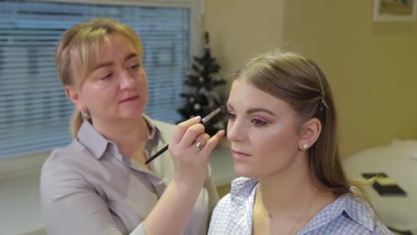 Artista de maquillaje profesional pinta las cejas al cliente con un cepillo especial . — Vídeo de stock