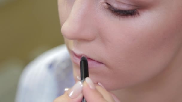 Artista de maquillaje profesional cepillando lápiz labial en los labios del cliente . — Vídeo de stock