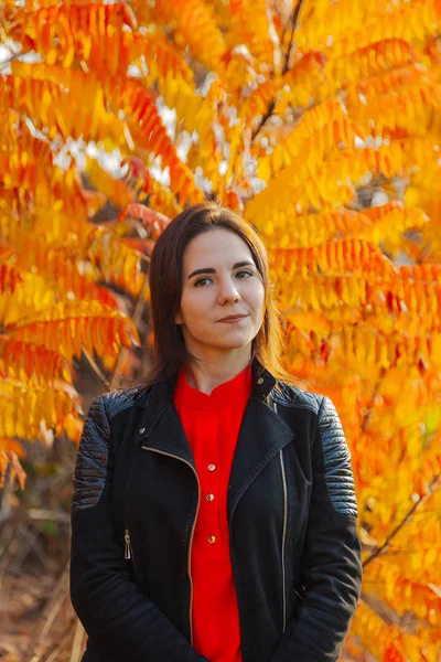 Chica sobre un fondo de hojas amarillas en otoño . —  Fotos de Stock