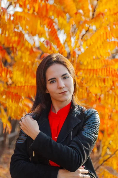 Chica sobre un fondo de hojas amarillas en otoño . — Foto de Stock