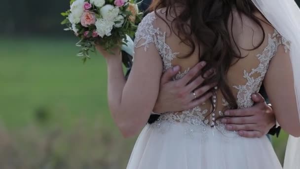 Happy newlyweds hug and caress each other. — Stock Video