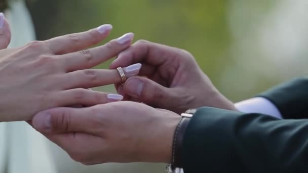 Ο γαμπρός βάζει το γαμήλιο δαχτυλίδι στο δάχτυλό της νύφης. Γάμος τα χέρια με τα δαχτυλίδια. Η νύφη και ο γαμπρός ανταλλάξει Βέρες. — Αρχείο Βίντεο
