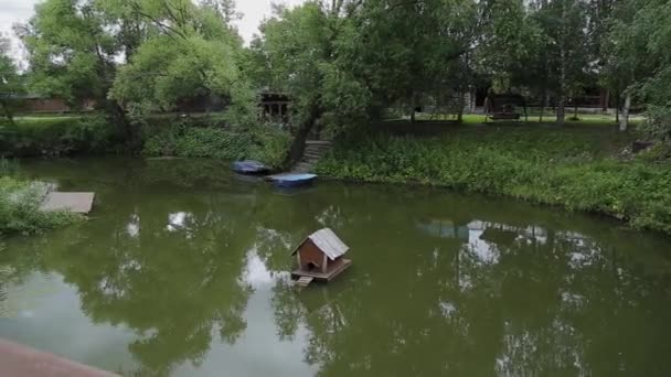 Krásné malebné jezero v parku. — Stock video