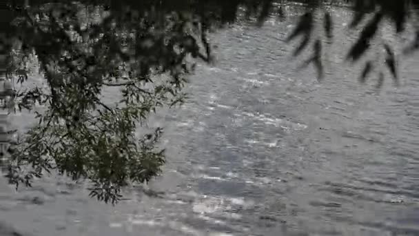 Reflexão brilhante do sol na água do lago . — Vídeo de Stock