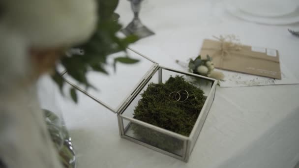 Golden wedding rings on green moss. — Stock Video