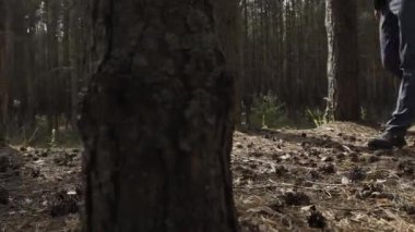 Güzel gelin ormanda yürüyor.