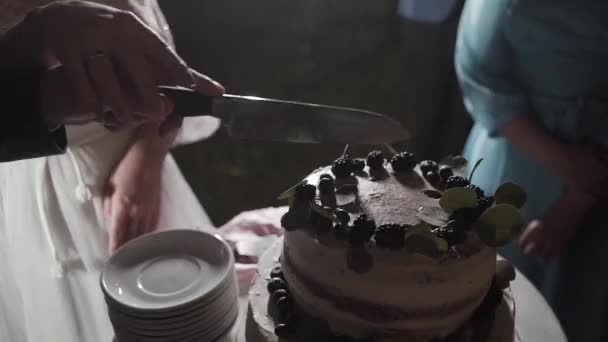 Счастливые молодожены разрезали свадебный торт на празднике . — стоковое видео