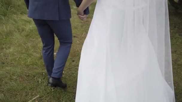 Glückliche Braut und Bräutigam spazieren auf dem grünen Gras. — Stockvideo