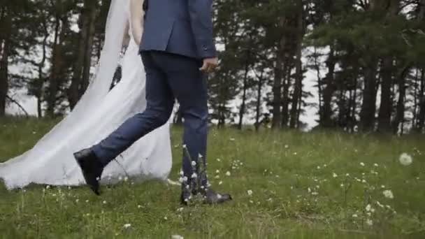 Happy bride and groom walk on the green grass. — Stock Video