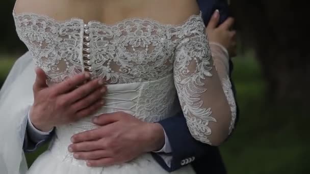 Feliz recém-casados abraçar e acariciar uns aos outros . — Vídeo de Stock