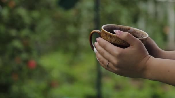 Een grote kop koffie in de handen van een jong meisje. — Stockvideo