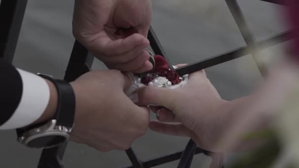 Felices recién casados cuelgan el castillo . — Vídeo de stock