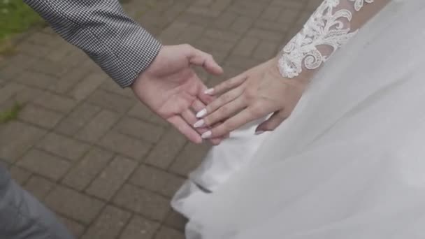 Happy newlyweds join hands on a wedding day. — Stock Video