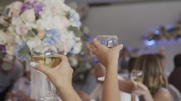 Hosté pozvedají sklenice na dovolenou. — Stock video