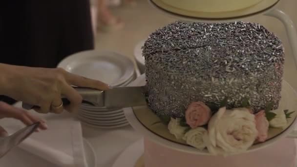 Glückliches Brautpaar schneidet bei einer Feier eine Hochzeitstorte an. — Stockvideo