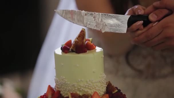 Gelukkig pasgetrouwden snijden een bruidstaart bij een feest. — Stockvideo