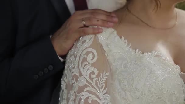 Felices recién casados se acarician las manos . — Vídeo de stock