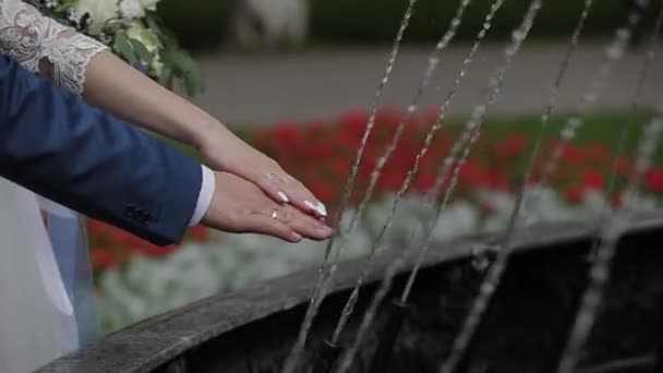 Händerna på de nygifta vid fontänen. — Stockvideo