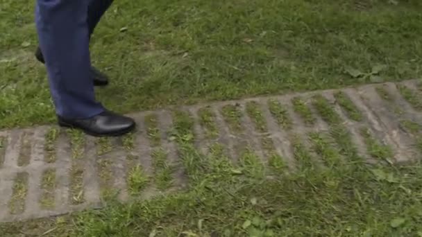 Piernas de un hombre en pantalones caminando sobre la hierba . — Vídeos de Stock