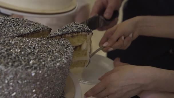 Mutlu yeni evliler bir kutlamada düğün pastası kesiyor.. — Stok video
