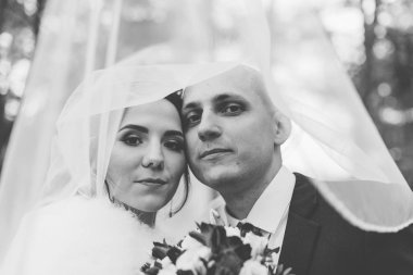 Mutlu gelin ve damat peçenin altında.