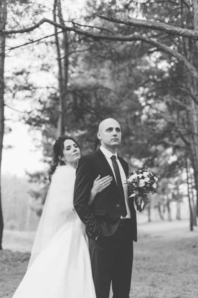 Happy bride and groom are standing in the autumn forest holding hands. — 스톡 사진