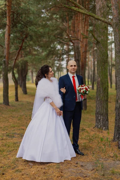Novia y novio felices están de pie en el bosque de otoño tomados de la mano . — Foto de Stock