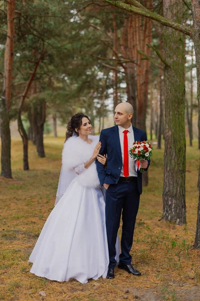 Novia y novio felices están de pie en el bosque de otoño tomados de la mano . — Foto de Stock