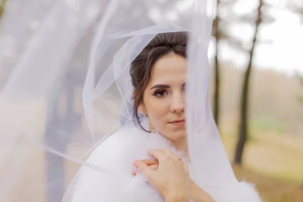 Feliz novia bajo el velo. Retrato de una novia el día de la boda . —  Fotos de Stock