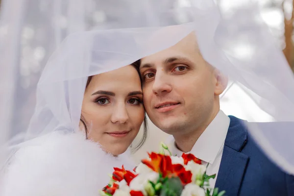 Boldog menyasszony és vőlegény a fátyol alatt. — Stock Fotó