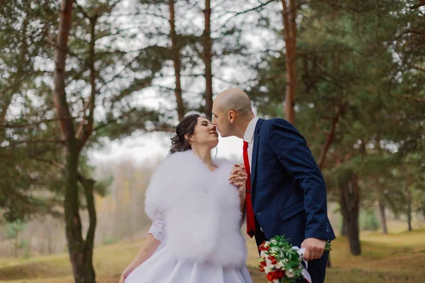 Glückliche Braut und Bräutigam spazieren im Herbst Händchen haltend durch den Wald. — Stockfoto